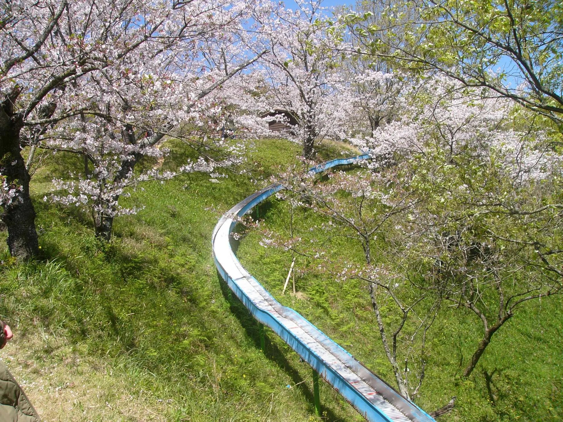 🏞️ 뱀 계곡 공원 (자가타니 코엔) 이미지 5